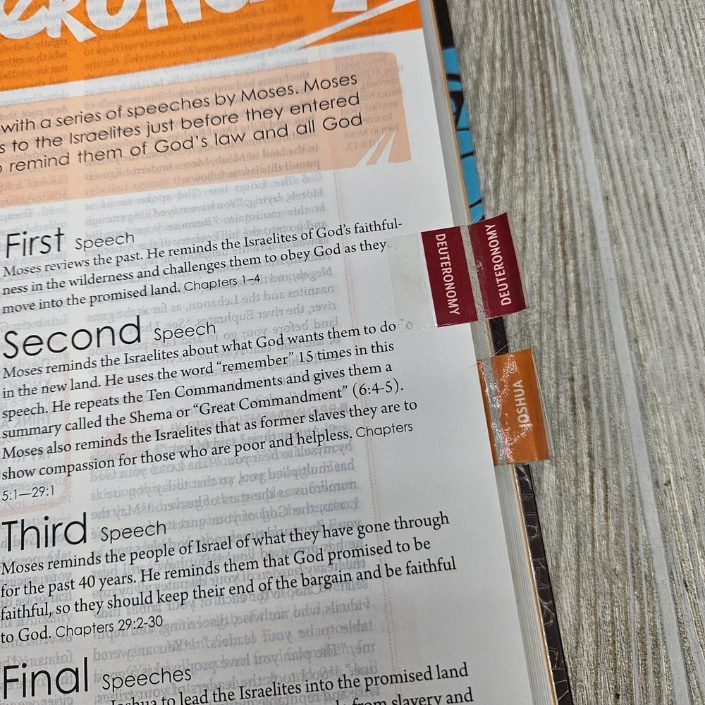 Sparkhouse spark bible